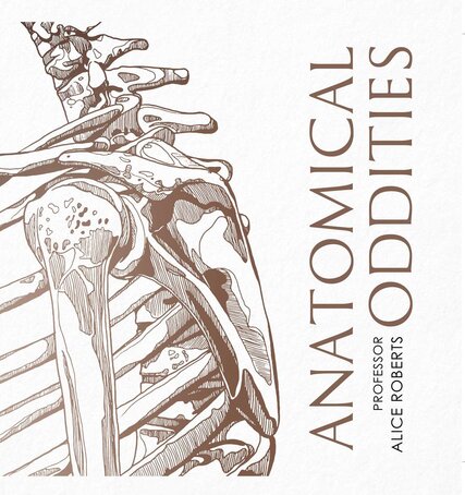 Cover image for Anatomical Oddities